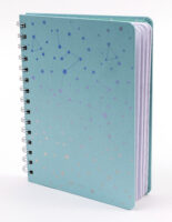 Holographic Celestial Spiral Journal