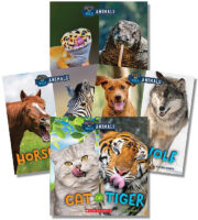 Wild World: Pets and Wild Animals Value Pack