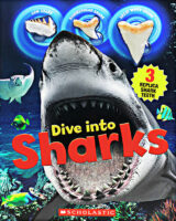 Dive Into Sharks with Shark Teeth