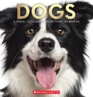 Dogs