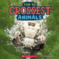 Wild World: Top 10 Grossest Animals