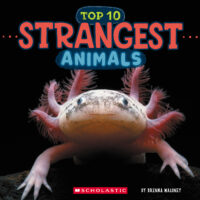 Wild World: Top 10 Strangest Animals