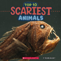 Wild World: Top 10 Scariest Animals