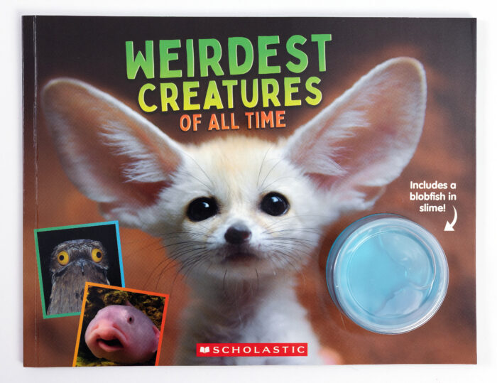 Weirdest Creatures of All Time (with mini blobfish in slime!) by
