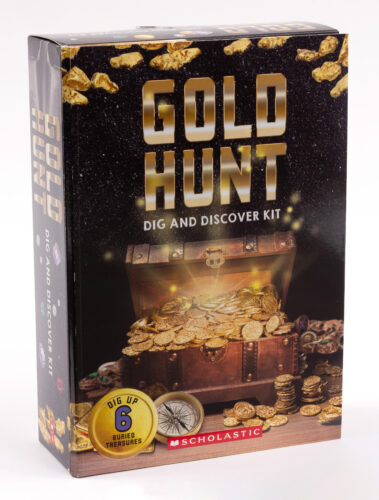 Gold Hunt Dig and Discover Kit