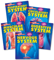 A True Book: Your Amazing Body Value Pack