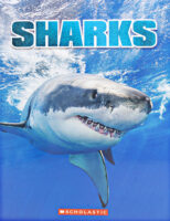 Ultimate Shark Teeth Collection Kit