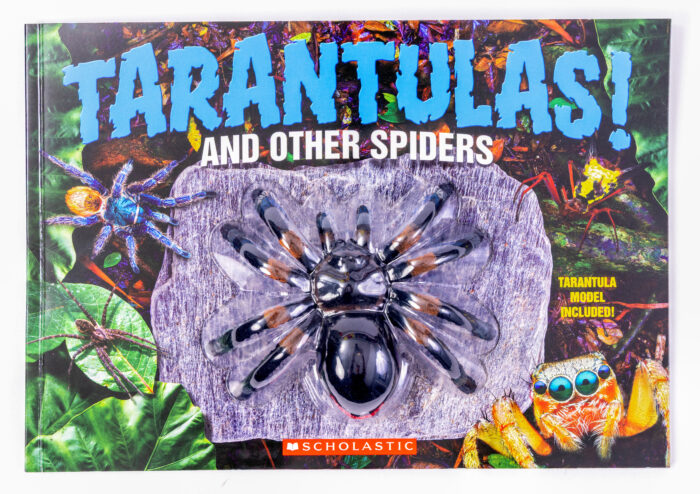 Tarantulas w/Exoskeleton by C. J. McDonald | The Scholastic Parent