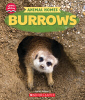 Learn About: Burrows