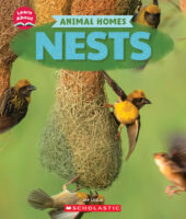 Learn About: Nests