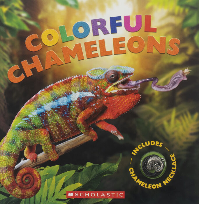 Colorful Chameleons with Necklace | The Scholastic Parent Store