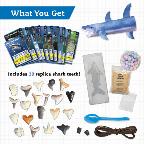 Klutz: STEAM Lab: Shark-tastic Teeth! by Editors of Klutz | The