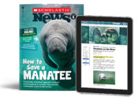 Scholastic News Grade 4