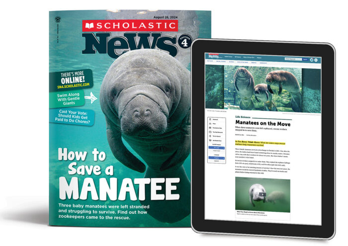 Scholastic News article for Alphaboxes from Dan's class.