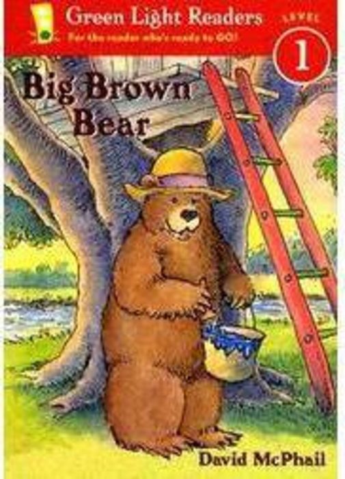 the teddy bear by david mcphail