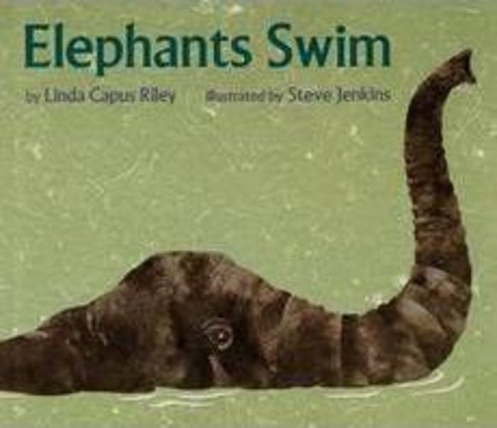 Elephants Swim by Linda Capus Riley Scholastic