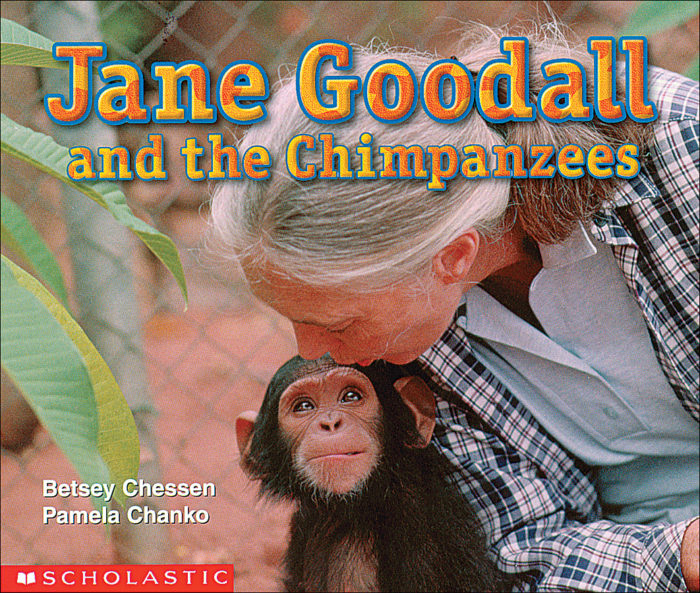 jane goodall stuffed chimp