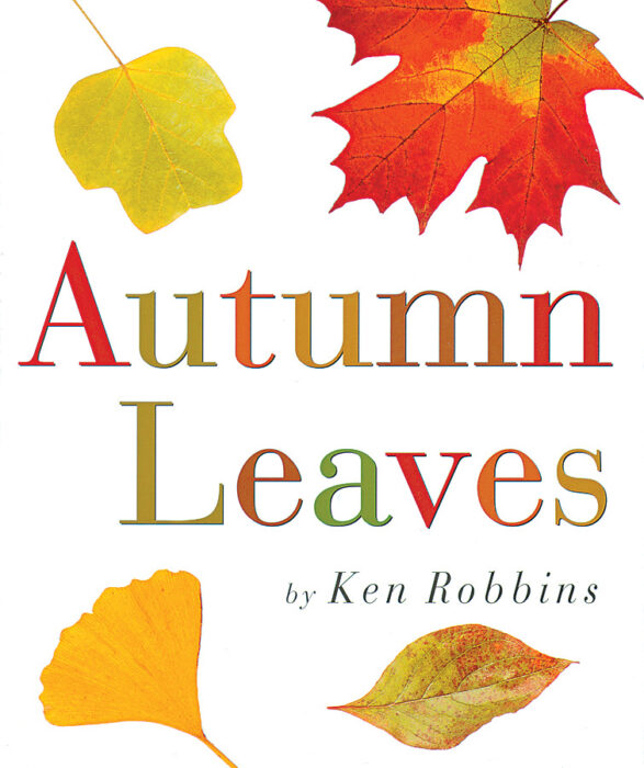 Autumn Leaves By Ken Robbins Scholastic