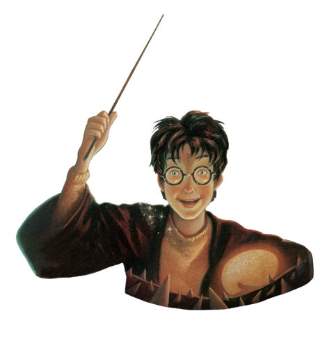 Goblet of fire shop hardcover