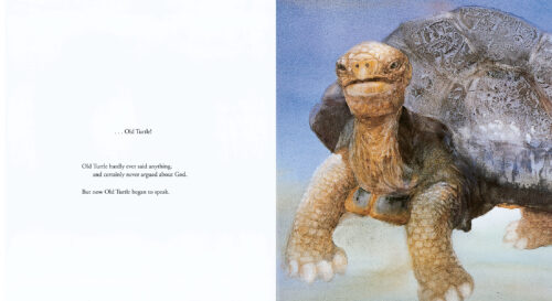 Old Turtle