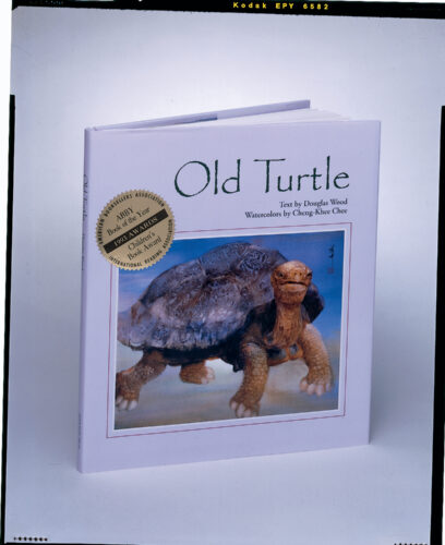 Old Turtle