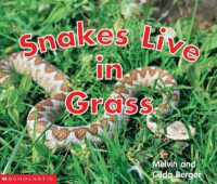 Scholastic Time-to-Discover Readers: Snakes Live in Grass