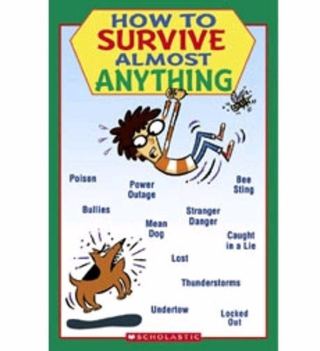 HOW TO SURVIVE ANYTHING 1 How To Survive Almost Anything by Brooks