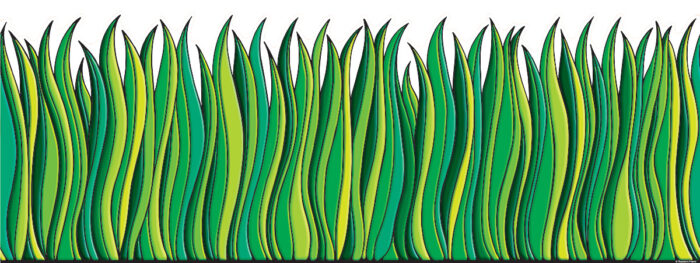 Tall Green Grass Jumbo Borders