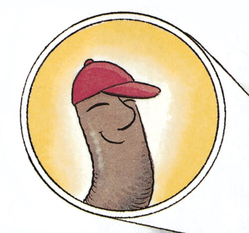 Diary Of A Worm by Doreen Cronin | Scholastic Education
