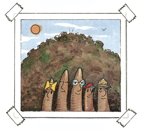 Diary Of A Worm by Doreen Cronin | Scholastic Education