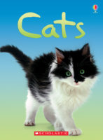 Usborne Books: Cats