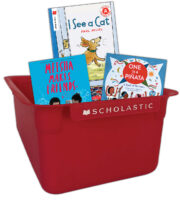 Ready-To-Go 300 Book Classroom Library, Kindergarten