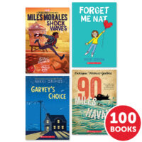 Ready-To-Go 100 Book Classroom Library: Independent Reading, Grade 6