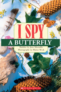 I Spy a Skeleton (Scholastic Reader%ｶﾝﾏ% Level 1) Amazon.com: I Spy a Skeleton (Scholastic Reader I Spy: Level