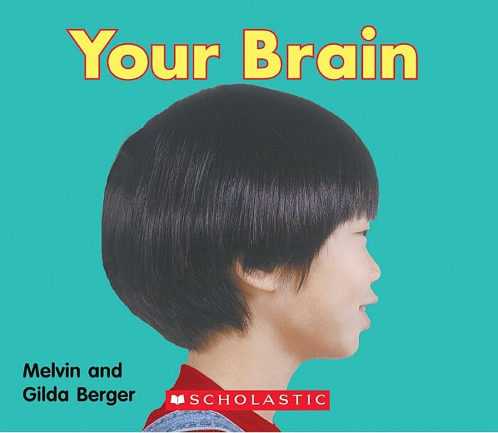Scholastic Time-to-Discover Readers: Your Brain by Gilda Berger
