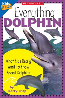 Kids' FAQs: Everything Dolphin