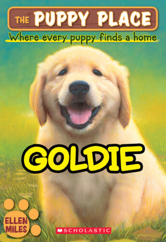 The Puppy Place: Goldie (#1) by Ellen Miles | Scholastic Education