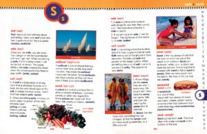 Scholastic First Dictionary by Judith S. Levey | Scholastic