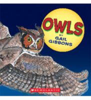 Owls