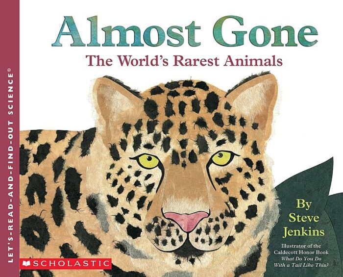 Almost Gone by Steve Jenkins