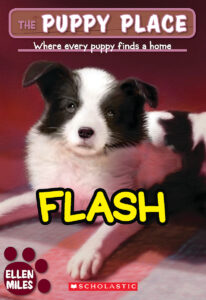 The Puppy Place: Flash (#6) by Ellen Miles | Scholastic Education