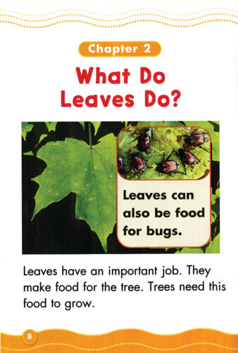 Science Vocabulary Readers: Colorful Leaves by Liza Charlesworth