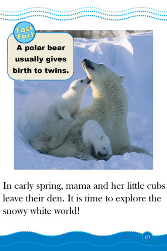 Powerful Polar Bears by Elizabeth Bennett