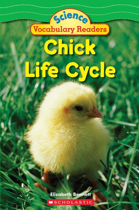 Science Vocabulary Readers: Chick Life Cycle by Elizabeth Bennett