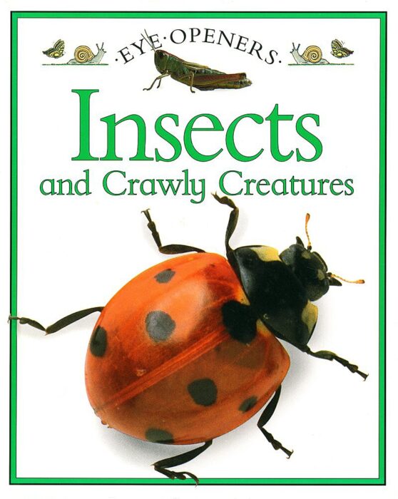 Creatures　Angela　Eye　The　Openers:　Teacher　Royston　Insects　Crawly　Scholastic　and　by　Store