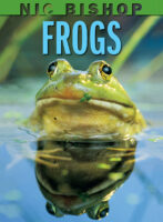 Nic Bishop Frogs
