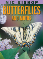 Nic Bishop Butterflies and Moths