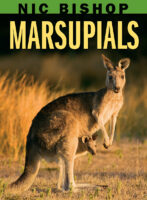 Nic Bishop Marsupials
