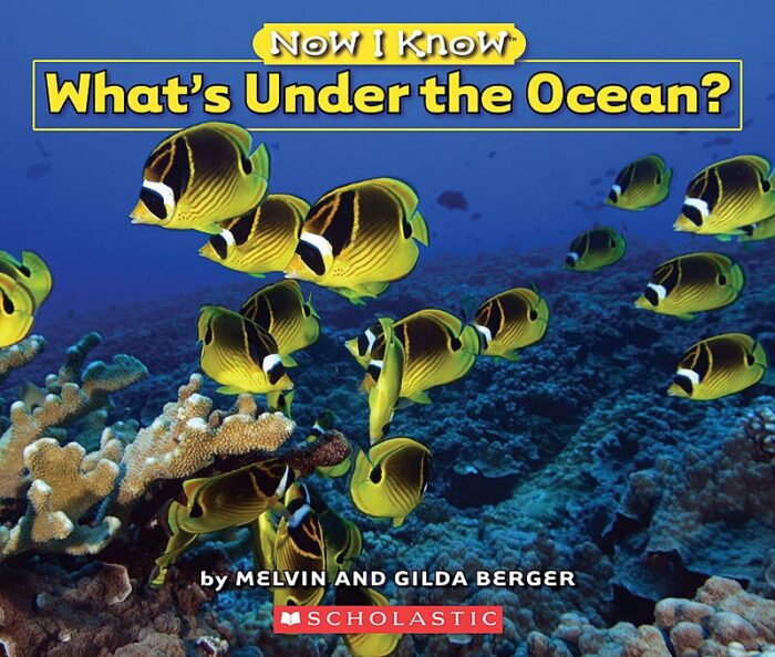 Now I Know: What's Under the Ocean?