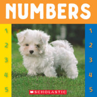 Beginning Concepts: Numbers